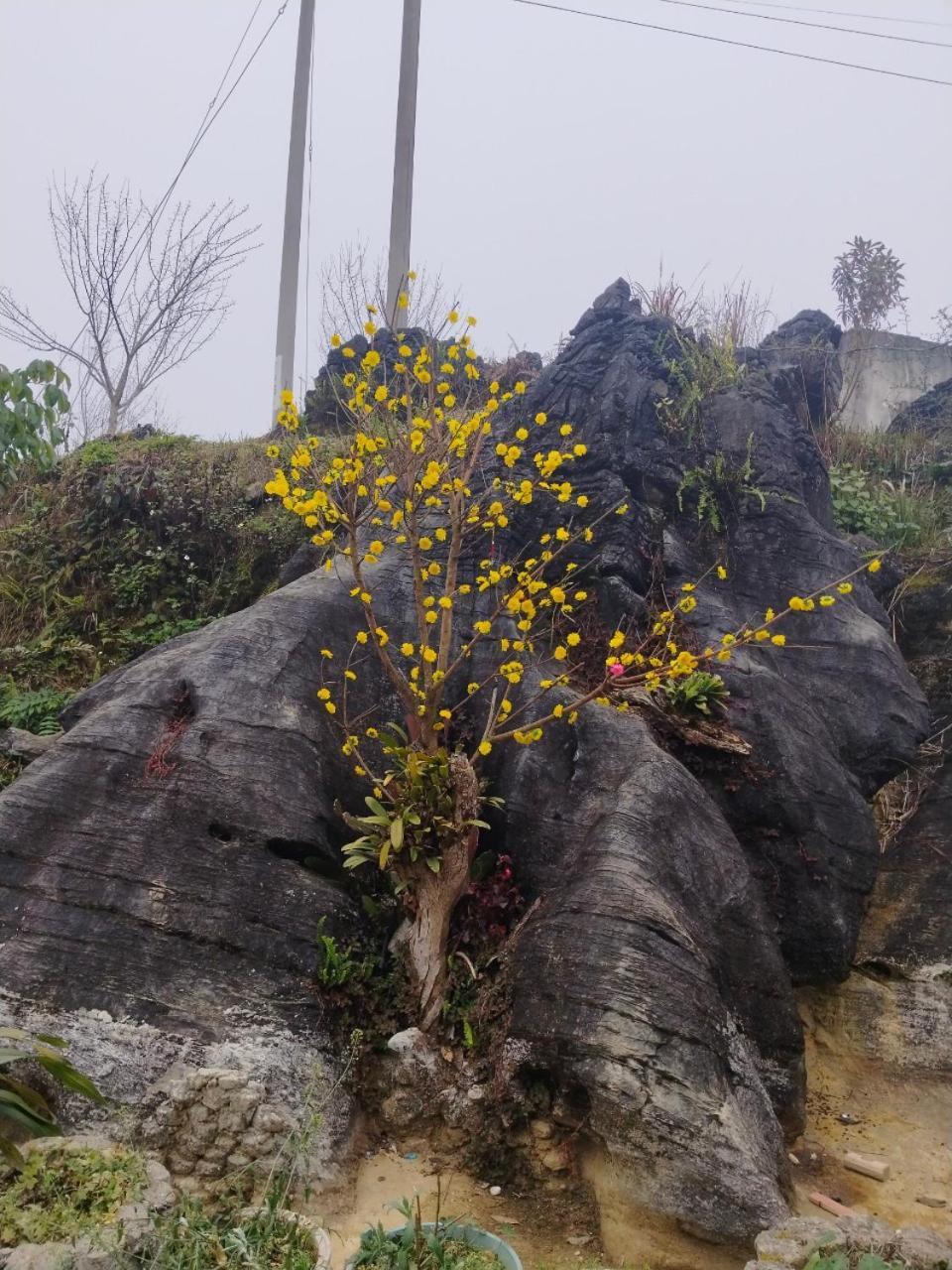 Ta Van Chu Homestay Bac Ha  Zewnętrze zdjęcie